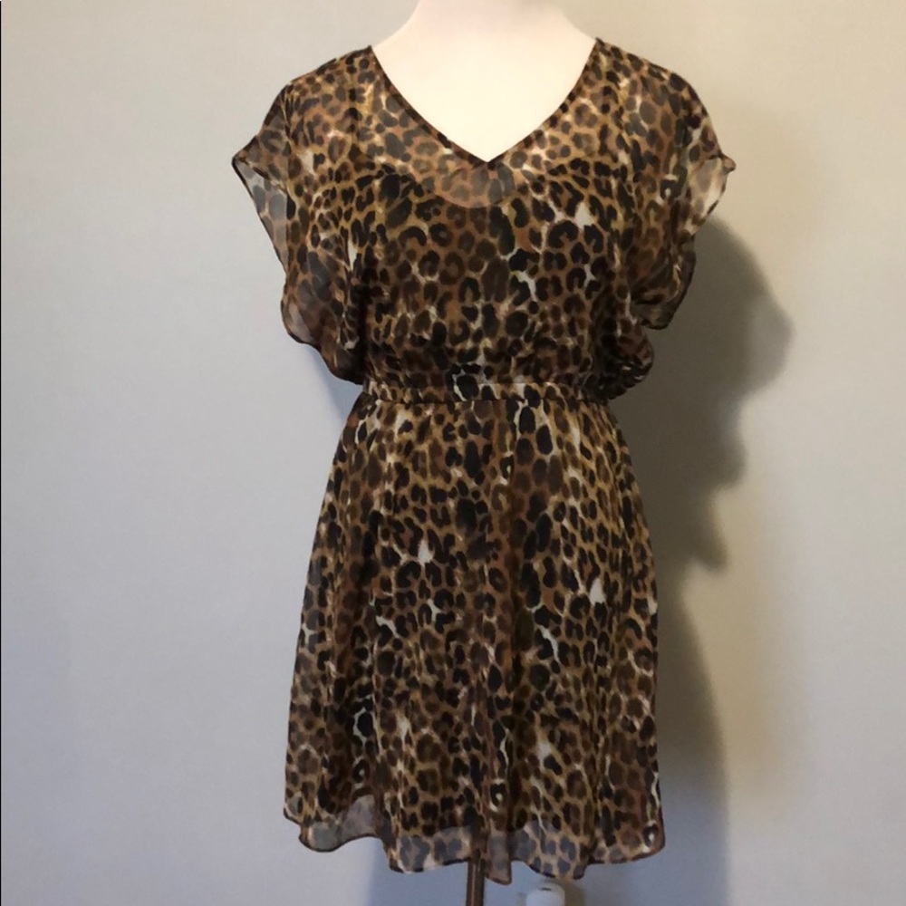 Express Leopard Print Dress